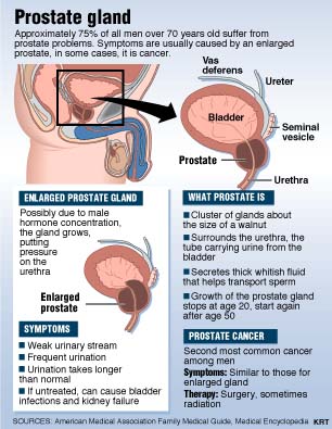 Natural Prostate Remedy